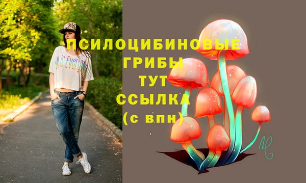 МДМА Алексеевка