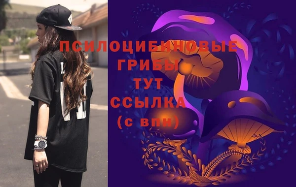 соль курить ск Алексин